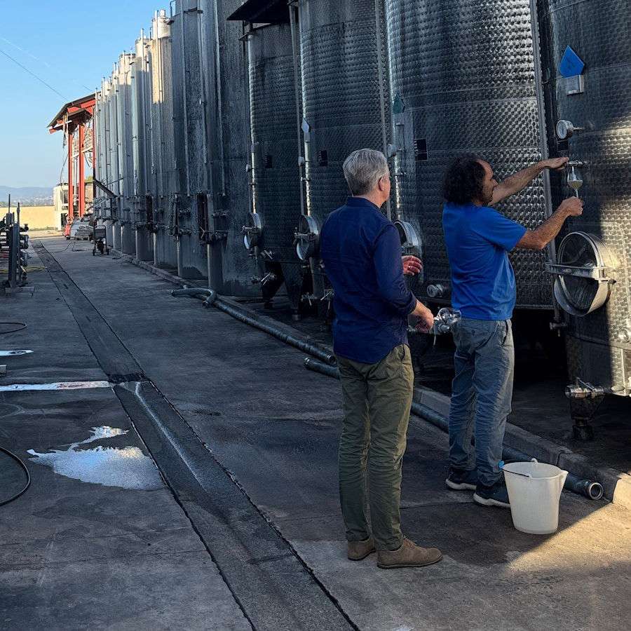 Axel Wulfken und Winzer Vincent Pugibet beim Entnehmen einer Probe